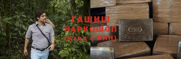 гашик Богородицк