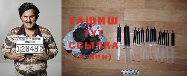 индика Богданович
