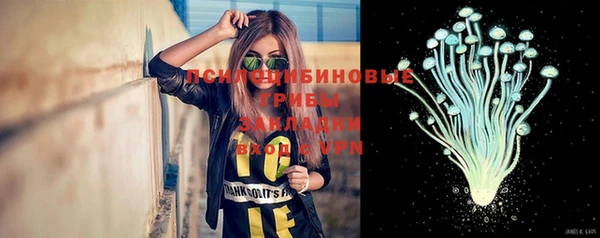 индика Богданович