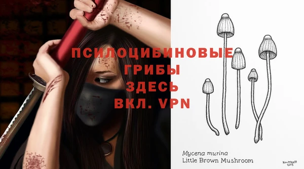 герыч Богородск