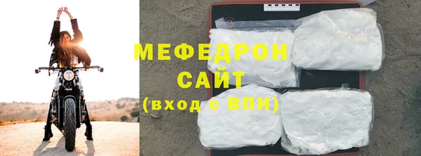 индика Богданович