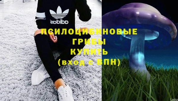 гашик Богородицк