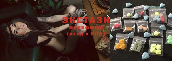 индика Богданович