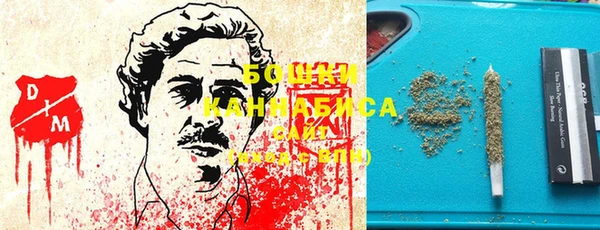 индика Богданович
