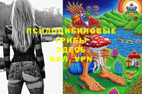 индика Богданович