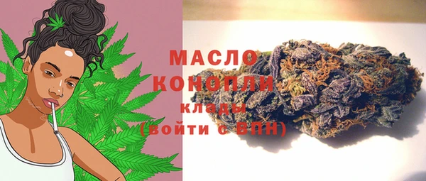 индика Богданович