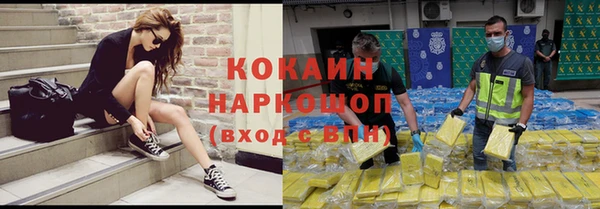 индика Богданович