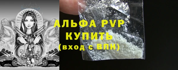 гидра Нестеровская