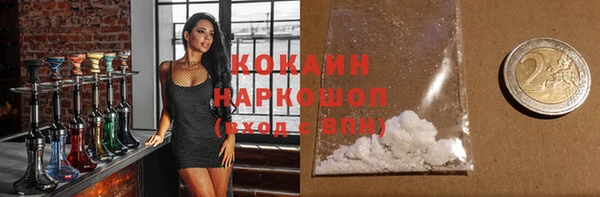 индика Богданович